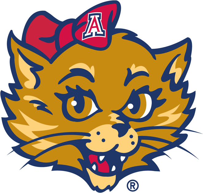 Arizona Wildcats 2003-Pres Mascot Logo v3 diy DTF decal sticker